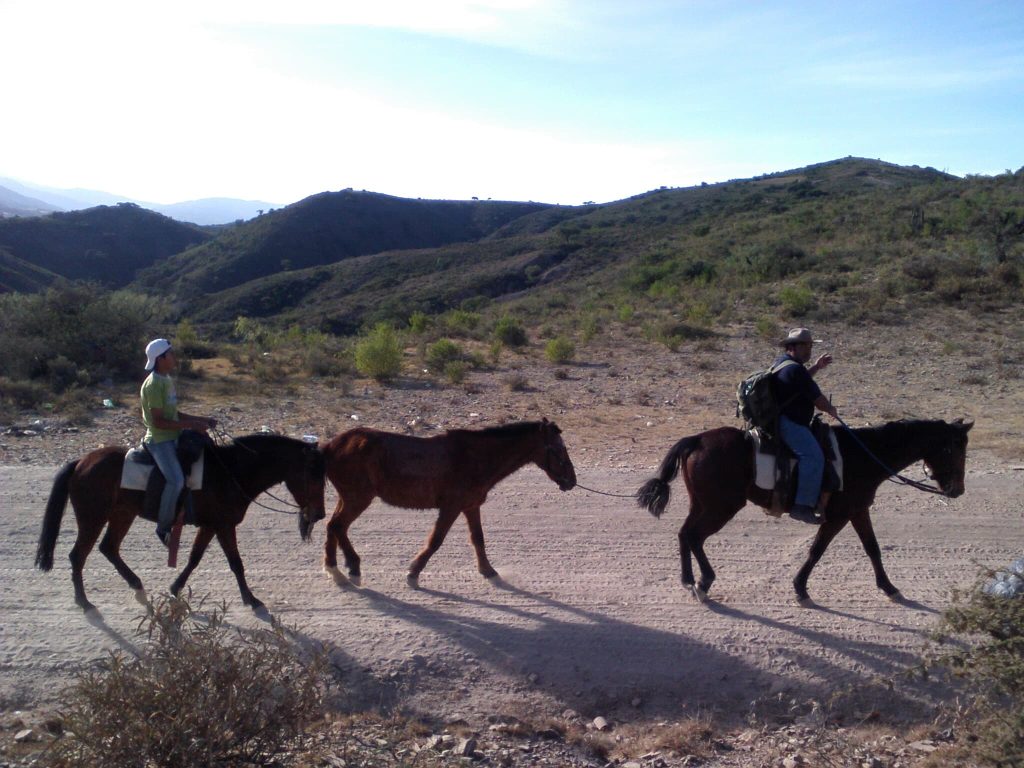 Guided horseback riding adventure in the Bolivian Andes
