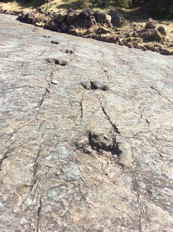 Dinosaur footprints at Niñu Mayu on the Maragua Crater tour