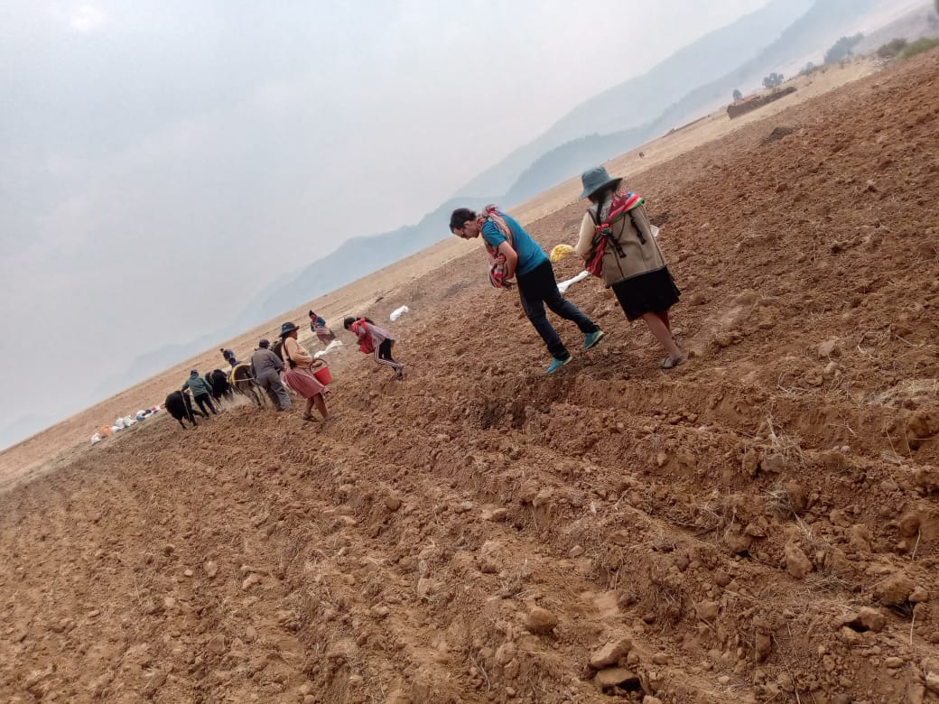 Agricultural activity with a host family in Puka Puka, Bolivia