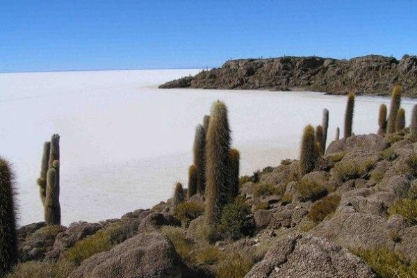 Isla Incahuasi, Uyuni